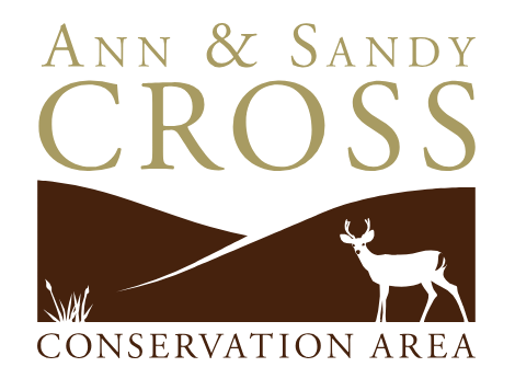 Ann & Sandy Cross Conservation Area