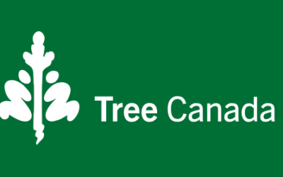 Tree Canada