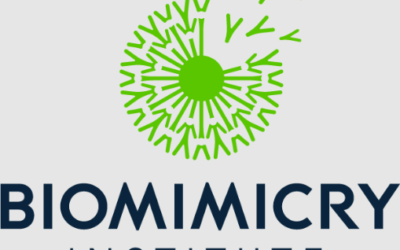 Biomimicry Units and Lesson Plans