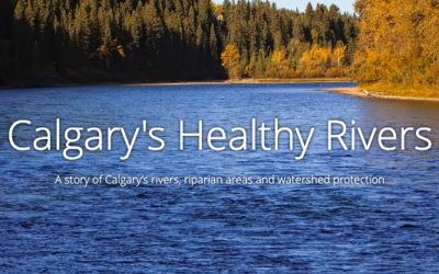 Calgary’s Healthy Rivers StoryMap
