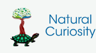 Natural Curiosity 2nd Edition: A Resource for Educators