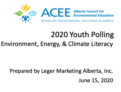 ACEE Youth Polling Report (2020)