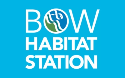 Bow Habitat Station